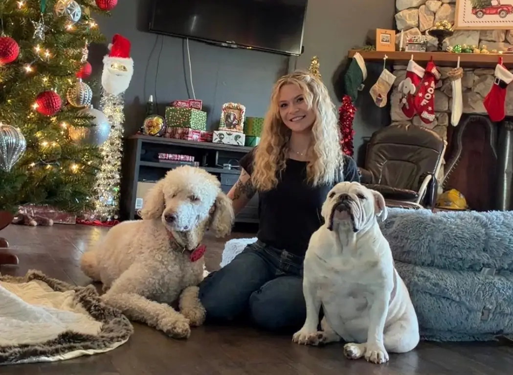 Lexie with a standard poodle and English bulldog at the holidays — in-home dog sitting in Denver