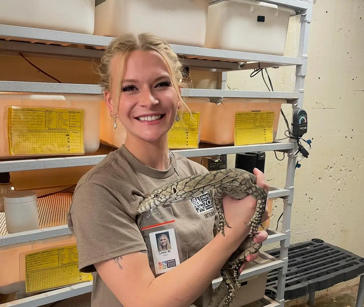 Lexie interning at Omaha's Henry Doorly Zoo holding a monitor lizard — zoology and exotic animal experience