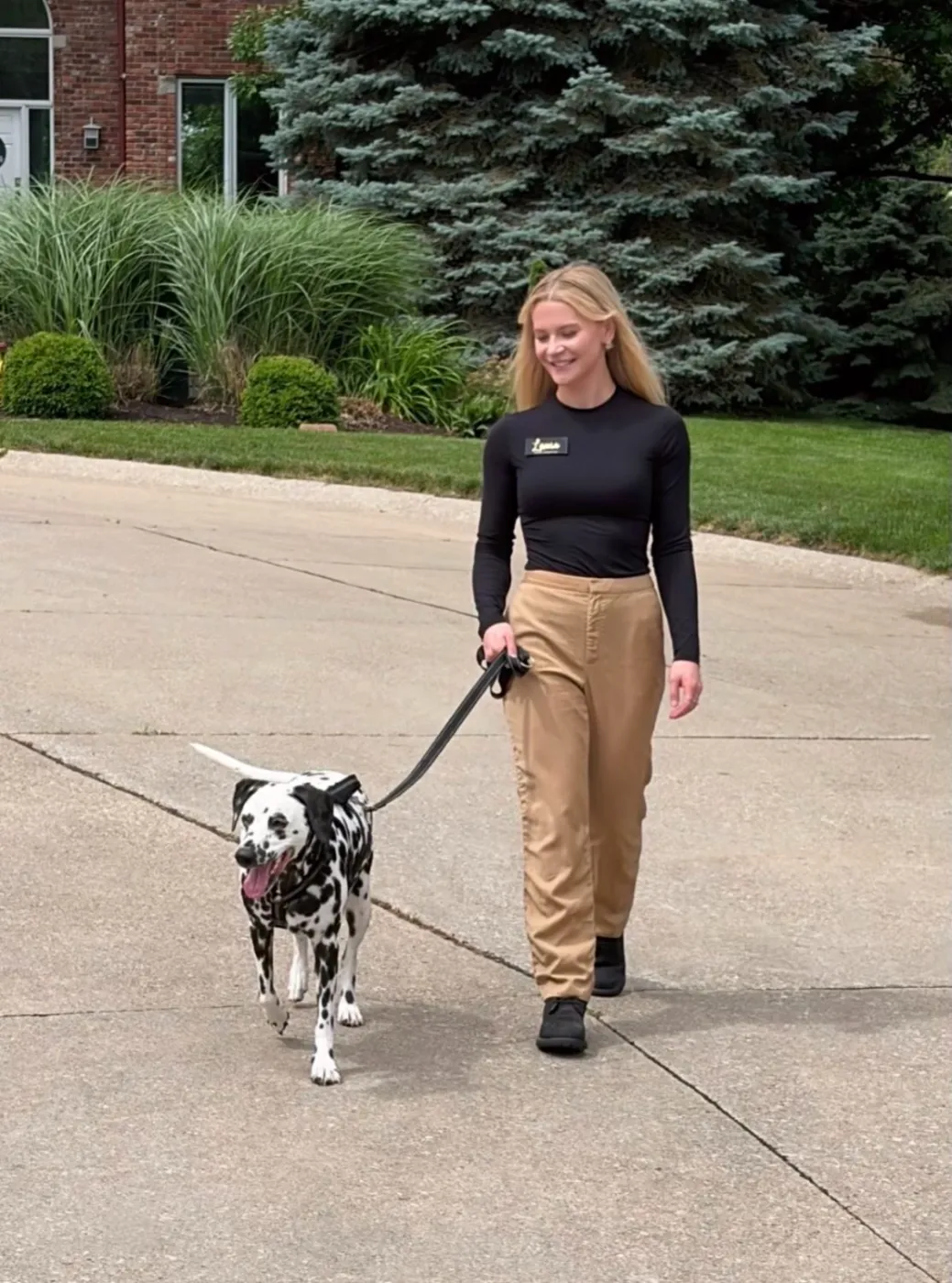 Lexie walking a Dalmatian on leash — dog training and walking in Denver