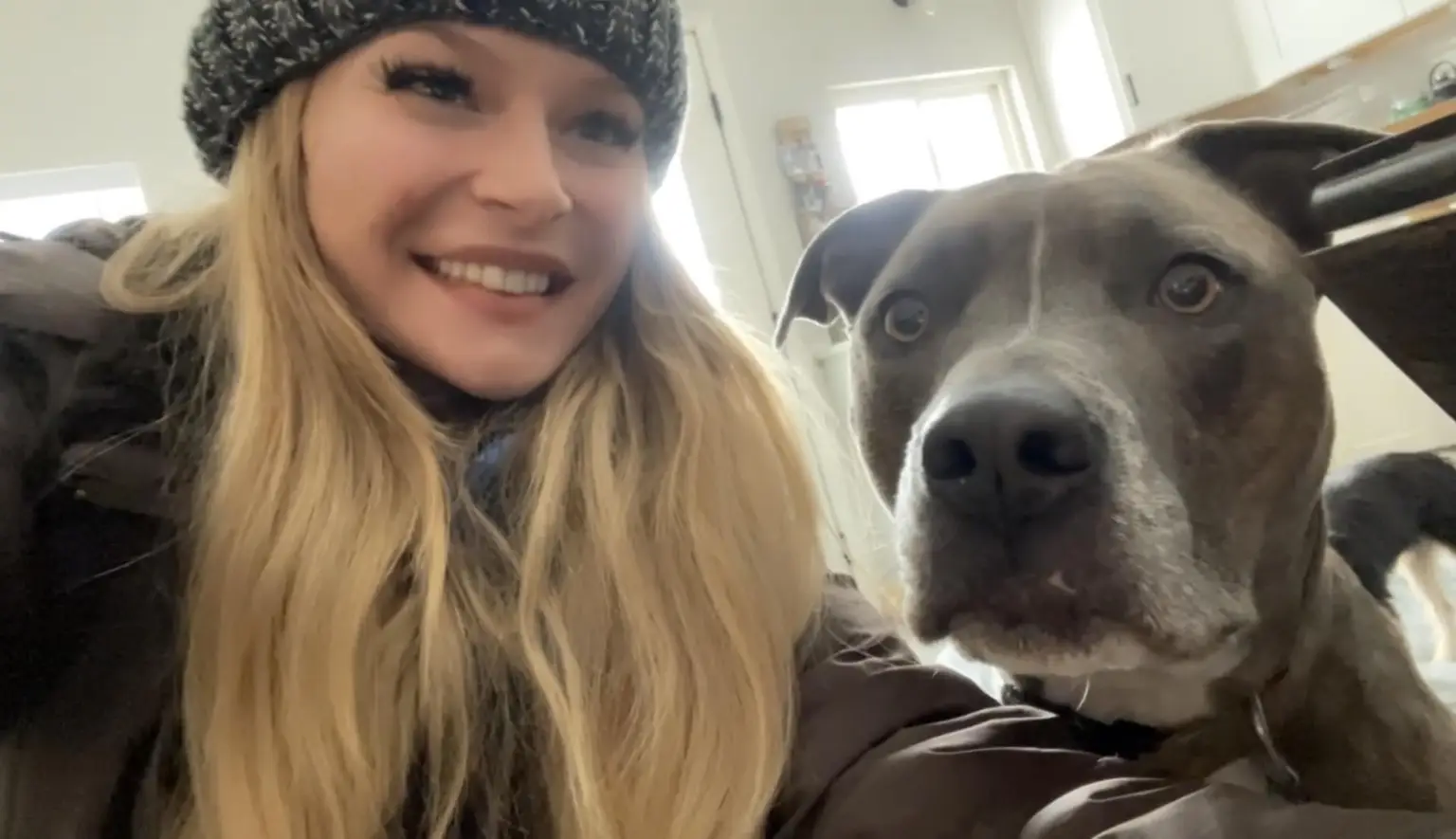 Lexie with a gray pit bull at home — dog sitting for all breeds in Denver